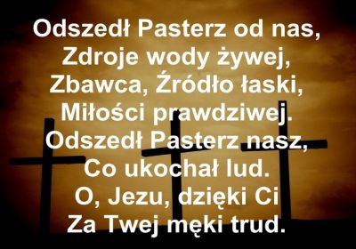 Program CEREMONIA - Przykładowe slajdy rzutnika -  