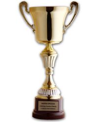 Puchar - nagroda specjalna za najlepszy środek dydaktyczny